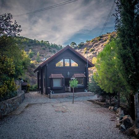 *2 Bdr Log House /Mountains/Queen Bed/Fireplace Гурри Экстерьер фото