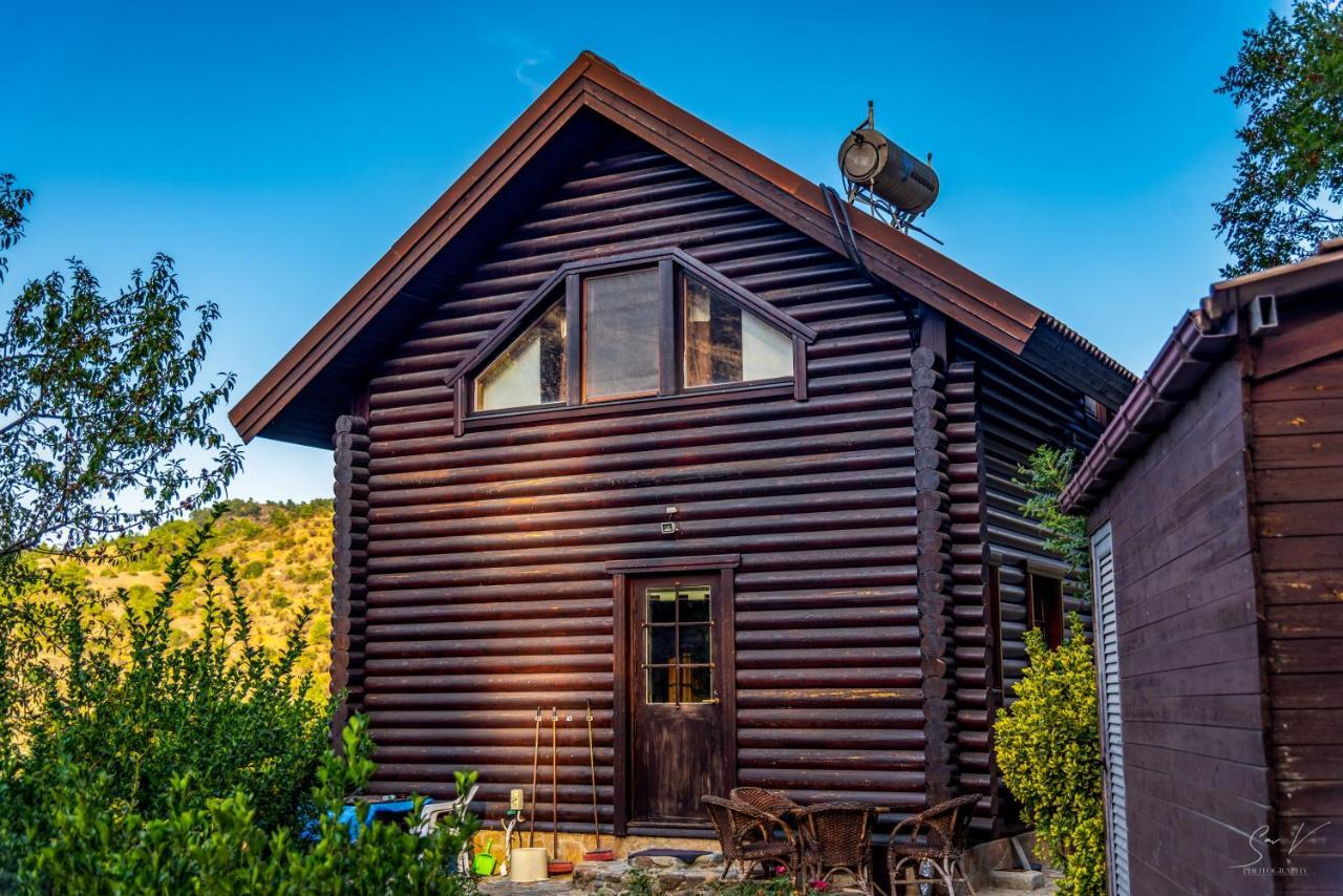 *2 Bdr Log House /Mountains/Queen Bed/Fireplace Гурри Экстерьер фото